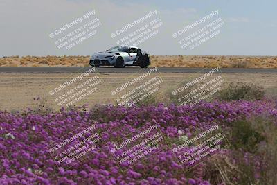 media/Feb-12-2023-Club Racer Events (Sun) [[9ed0490a96]]/1-Super Advanced (Red)/Session 3 (Turn 2)/